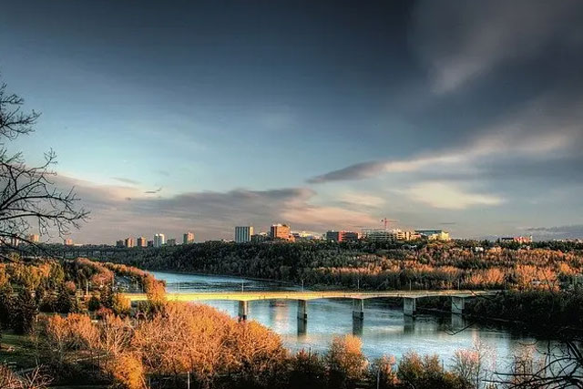 Notary Public Edmonton image