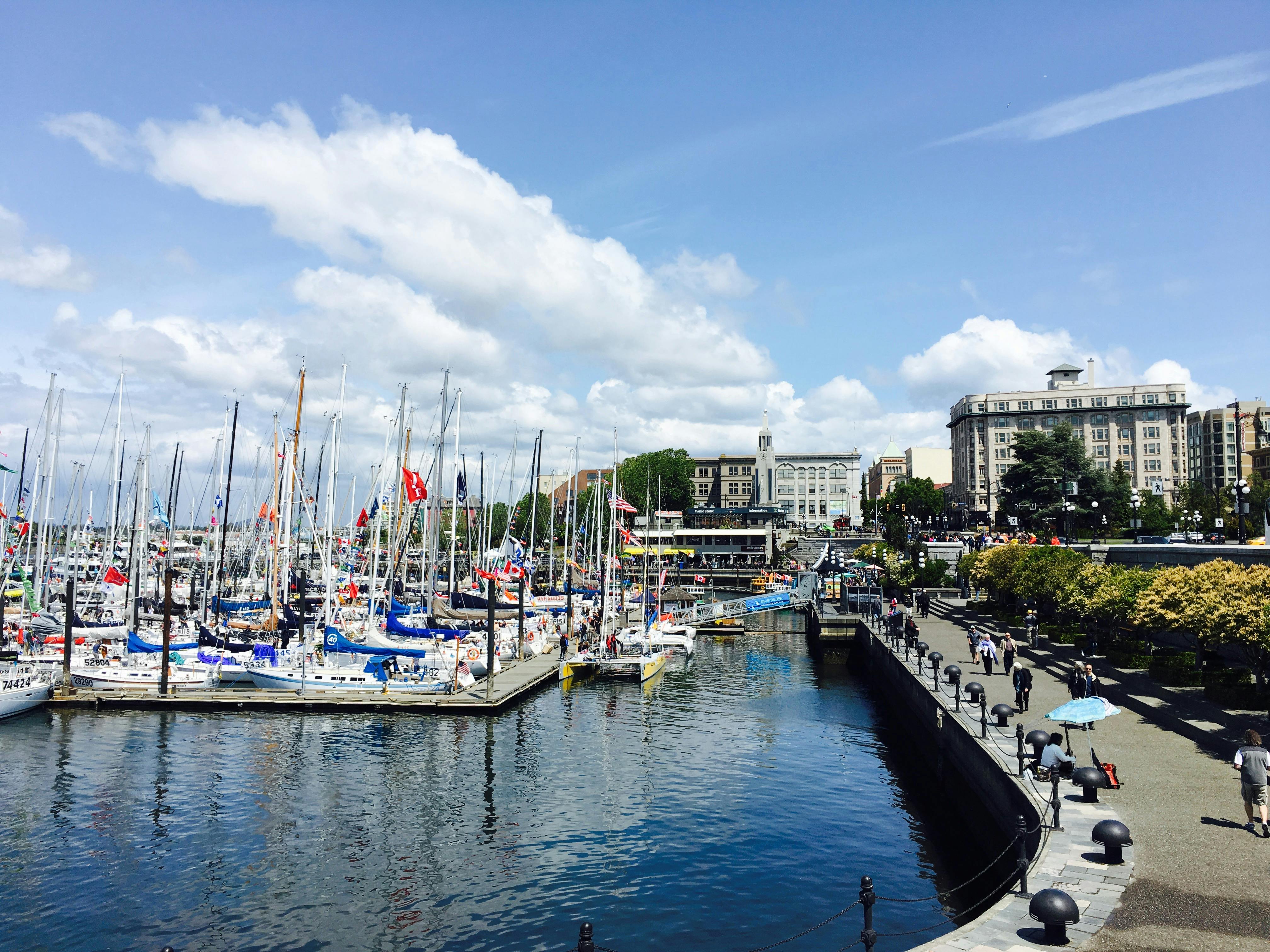 Sailboats docked in a marina in Victoria, British Columbia.