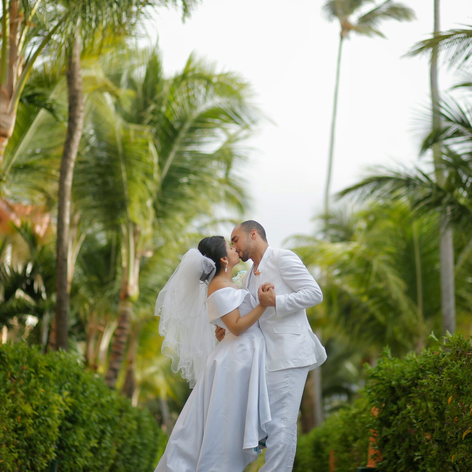 A bride and groom kissing on their wedding day. Both are wearing white and they're surrounded by palm trees.