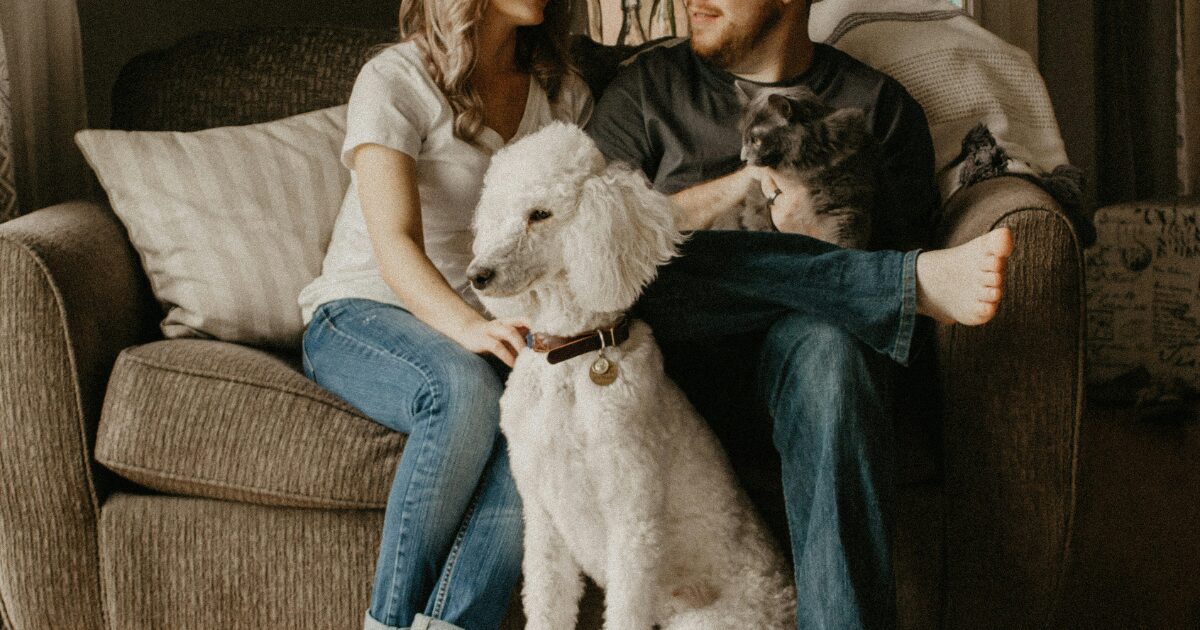 A Caucasian couple sitting on a couch, with a white poodle and a grey cat.