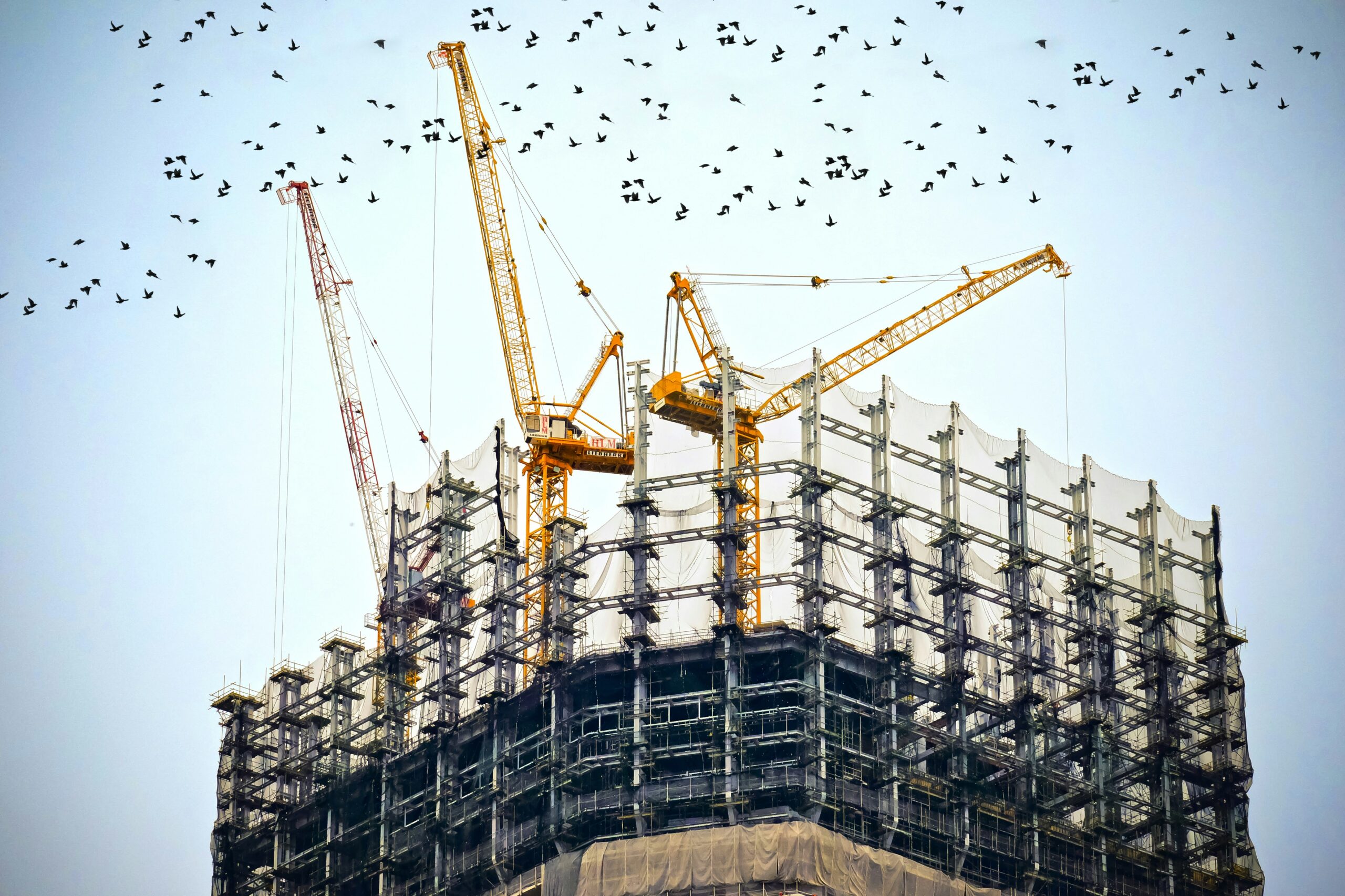 A large building being built on a construction site, with three tower cranes inside it. There is a flock of birds flying in the blue sky in the background.